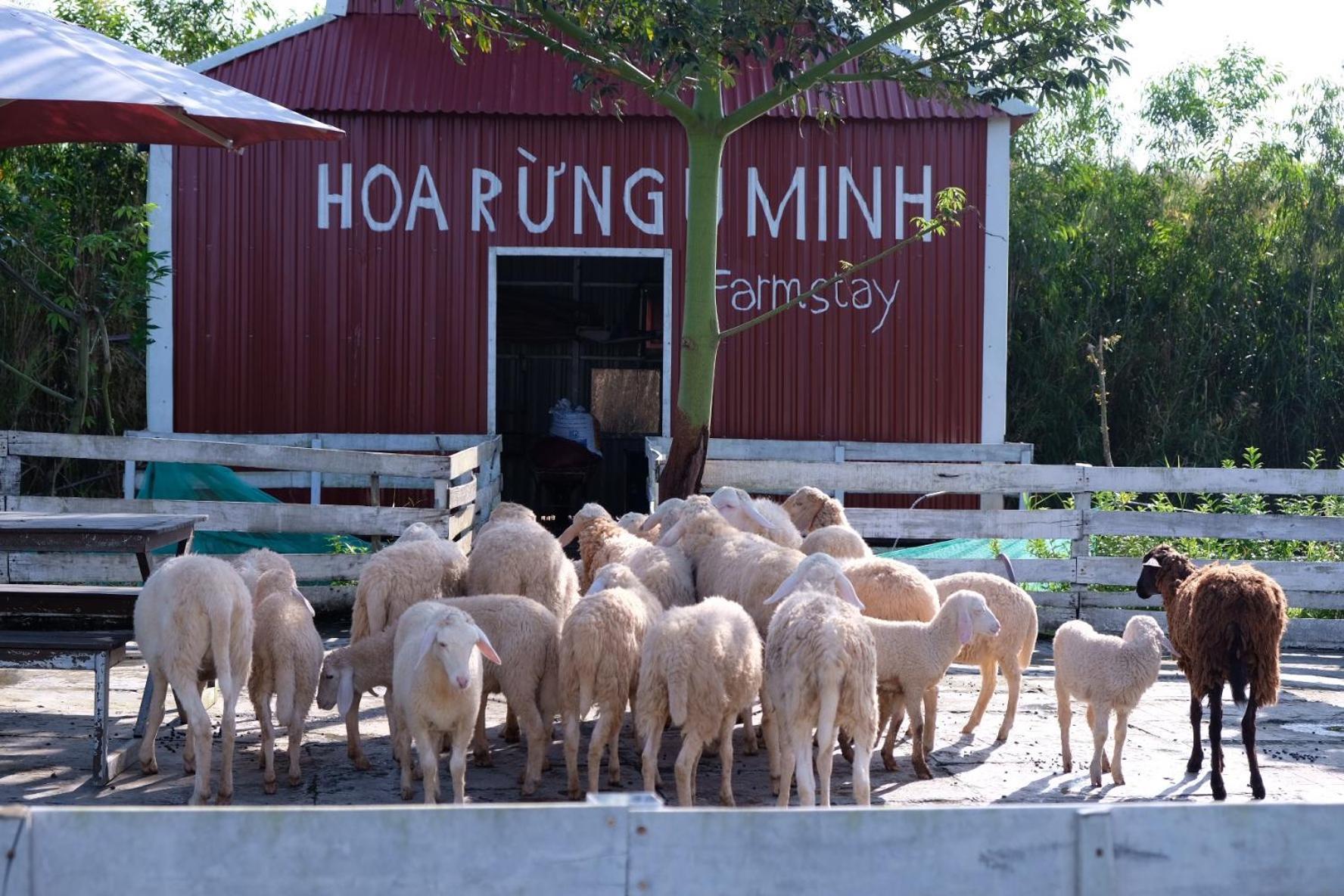 Bungalow - Farmstay Hoa Rung U Minh Cà Mau Εξωτερικό φωτογραφία