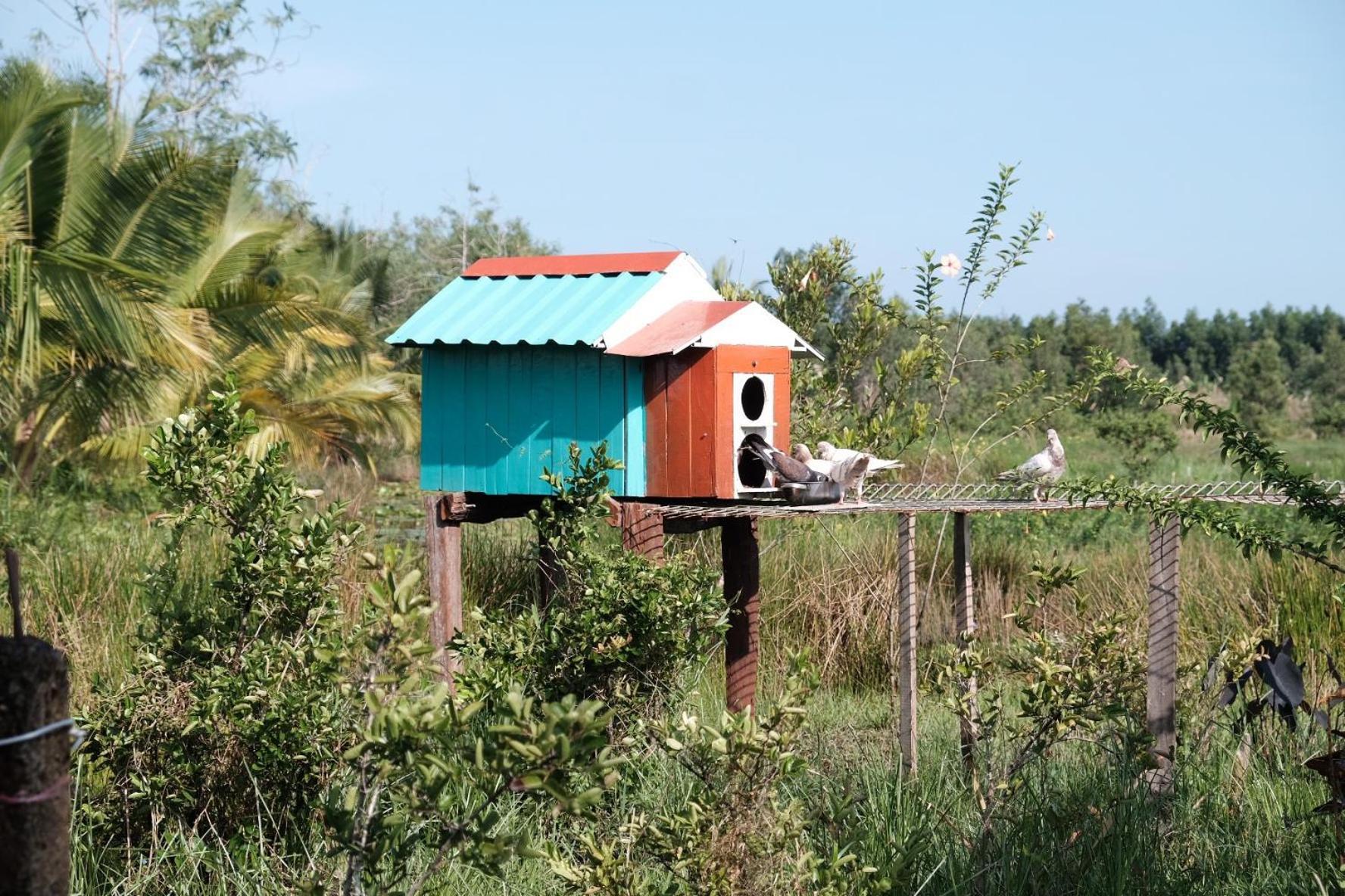 Bungalow - Farmstay Hoa Rung U Minh Cà Mau Εξωτερικό φωτογραφία